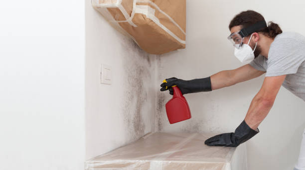 Professional Crawl Space Mold Removal technician working in Hewlett, NY