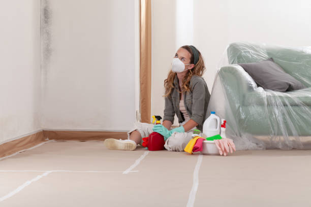 Reliable Crawl Space Mold Removal contractor in Hewlett, NY by WQB Mold Removal